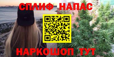 шишки Пенза