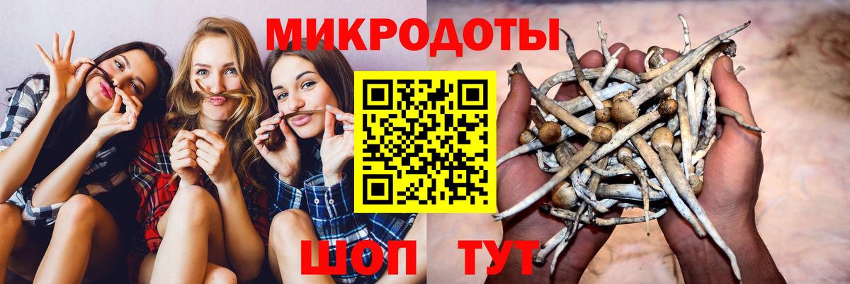 Псилоцибиновые грибы Psilocybe  Вход с VPN  купить закладку  Псилоцибиновые грибы Magic Shrooms  Дюртюли 
